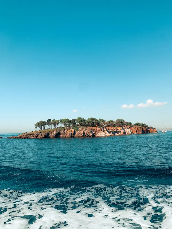 Rocky island with pine trees surrounded by deep blue sea — Aziz Stiti travel photography