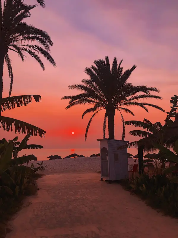 Orange sunset over the beach with palm tree silhouettes and sandy path — Aziz Stiti travel photography